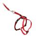 PetSafe Easy Walk Cat Harness With Elastic Bungee Leash For Walking Your Cat Size S Red Red S
