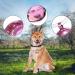 Rumyve Super Loud Cat and Dog Bells 1 set of 2 pet Brass Bells Pet Tracker Bell Cat and Dog Collar Shoulder Strap Pendant Accessories(Bronze) Pink - Buy Online on GoSupps.com