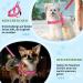 Eyein No-Pull Dog Harness with Leash - Adjustable Reflective Padded Design for Puppies Small & Large Dogs - Pink XS - Buy Online on GoSupps.com