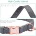 ORIA Dog Lead & Collar Set - Adjustable 2m Leash for Small/Medium/Large Dogs - Strong Soft Wool - Ideal for Training, Walking, Running - Medium Size (35cm-50cm) - Buy Online on GoSupps.com