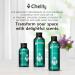 Chelity Hotel Diffuser Oil No. 1023 - Inspired by Baccarat Hotel & Rouge 540 - Luxury Love Affair Fragrance Oil with Saffron & Amberwood - for Waterless & Ultrasonic Diffusers 5.1Fl Oz BACCARAT ROUGE 5.1 Fl Oz (Pack of 1) - Buy Online on GoSupps.com