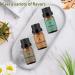 Chamomile Sandalwood Vetiver Essential Oils Set 100% Pure Premium Grade Natural Fragrance Oil Gift kit for Diffusers Home Care Candle Making Fragrance Aromatherapy Humidifiers Chamomile + Sandalwood + Vetiver 10.00 ml (Pack of 3) - Buy Online on GoSupps.com
