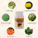 Kamalahar Capsules - Ayurvedic Liver Support & Detox - 100 Capsules x 6 Packs (300 Servings) - Buy Online on GoSupps.com