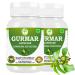 Morsan Healthcare Gurmar (Gymnema sylvestre) Capsules 500mg | 60 Vegan Capsules | Natural Himalayan Extract | Pure Herbal Supplement | Traditional Ayurvedic Herb | Plant-Based | Pack of 2