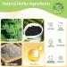 Wormwood Foot Pads 40PCS - Deep Cleaning & Detoxifying Bamboo Vinegar Patches for Wellness - Buy Online on GoSupps.com