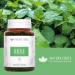 Organic Nettle Capsules - Pure Organic Spicy Nettle Leaf Extract - Rich in Biologically Active Compounds - Made in France - 90 Vegetable Capsules - Buy Online on GoSupps.com