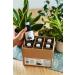 Buy Organic Bio Aronia Juice 6 Pack (6x250ml) - 100% Cold-Pressed No Additives Vegan - Berrieska  - Buy Online on GoSupps.com
