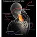 VideCor Neck Support Collar - Universal Cervical Traction Device for Pain Relief & Spinal Fixation - Adjustable & Ideal for Home Use - Buy Online on GoSupps.com
