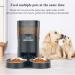 HoneyGuaridan Automatic Cat Feeder for 2 Cats - 6.5L/4.5L Pet Food Dispenser with Stainless Steel Bowl - 6 Meals - Blue - Buy Online on GoSupps.com