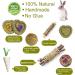 Natural Guinea Pig & Rabbit Chew Toys - Promotes Dental Health & Relieves Anxiety (10 pcs) - Buy Online on GoSupps.com