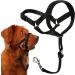 Voarge Dog Muzzle Dog Head Collar with Safety Strap Head Halter Collar for Dogs Adjustable and Easily Control for Small Medium and Large Dogs (XXL)