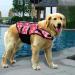 Dog Life Jacket | Swimming Safety Coat & Vest for Small & Large Dogs | Red Flower Design (L) - Buy Online on GoSupps.com