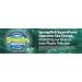SpongeBob x Ecoegg Laundry Egg Refill Sensitive - 60 Loads Tropical Burst | Eco-Friendly No Enzymes Phosphates Palm Oil Chlorine Bleach or Parabens - Buy Online on GoSupps.com