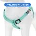 Pawtitas Reflective Step in Dog Harness - Control Walking of Your Puppy - Teal - Small/Medium/Large Harness - Buy Online on GoSupps.com