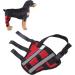 Dog Knee Brace for Cruciate Ligament Injury Joint Pain and Muscle Sore with Better Recovery Adjustable Rear Leg Braces (XXS) - Buy Online on GoSupps.com
