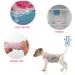 Dog Cooling Vest | Summer Breathable Mesh Jacket for Small & Medium Dogs | Pink Ice Cooling T-Shirt with Reflector Stripes - Buy Online on GoSupps.com