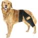 1PC Dog Knee Brace for Torn ACL Hind Leg Adjustable Dog Acl Knee Brace Support for Large and Small Dogs with ACL CCL Cruciate Ligament Injuries for Both Back and Front Legs - Buy Online on GoSupps.com