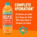 Roar Organic Electrolyte Infusions - USDA Organic Mango Clementine - Antioxidants B Vitamins - Low-Calorie, Low-Sugar, Low-Carb - 18 Fl Oz (Pack of 12) - Buy Online on GoSupps.com