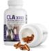 CLA 3000 Extra High Potency Softgels - 120 Count | Supports Healthy Weight Management - Buy Online on GoSupps.com