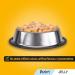 Pedigree Junior Wet Dog Food for Young Dogs and Puppies 12 Pouches (12 x 100 g) 100 g (Pack of 12) - Buy Online on GoSupps.com