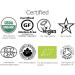 King Soba Organic Gluten Free Buckwheat Pasta Noodles 8.8oz - 2-Pack, 3 Servings Per Pack - Buy Online on GoSupps.com