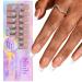 Elegant French Manicure French False Nails Different Sizes Natural Nail Art Tips and Accessories