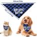 Dog Birthday Bandana - Plaid Cotton Triangle Scarf for Small Medium Dogs & Cats | Washable Birthday Party Supplies (Blue) - Buy Online on GoSupps.com