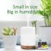 ASAKUKI 300ml Aroma Diffuser with 6Pcs*10ml Pure Essential Oil Set - Z-Yellow Wood Variant | 4 Timer Settings, 15 Color Lights, Auto Shut-Off | Cool Mist Essential Oil Diffuser - Buy Online on GoSupps.com