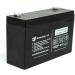 Buy (2 Pack) UB6120 6V 12AH Lead Acid Battery - PS-6100 SLA F1 BP106T2 BP86 | International Shipping Available - Buy Online on GoSupps.com