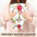 Naanle Watercolor Heat Bottle with Ethnic Flower Anchor | 1L Transparent Hot Water Bottle for Pain Relief & Therapy - Ideal for Bed Hands & Feet - Buy Online on GoSupps.com
