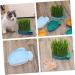 Buy Buguuyo 3 Series Cat Grass Box with Catnip - Perfect Plastic Plant Planters for Pets - Buy Online on GoSupps.com