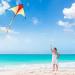 JOYIN Large Delta Kite 2-Pack - Easy-to-Fly Green and Rainbow Kites for Kids and Adults | Includes 262.5 ft Kite String | Perfect for Outdoor Games - Buy Online on GoSupps.com