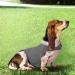 Zongha Anti-Stress Vest for Dogs | Panic & Fear Relief Dog Coat | Medical Jacket for Anxious Dogs - Light Gray X-Small - Buy Online on GoSupps.com