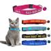 Brillianne custom Breakaway CAT neck band personalized with a bell safety closure embroidered ID names on the kitten neck band
