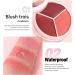 Blush Balm for Cheeks Matte and Waterproof Face Makeup Blush | Lip and Cheek Cream | For Dates Travel Evenings Holidays and Parties - Buy Online on GoSupps.com