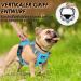 Eyin Adjustable Dog Harness for Large Dogs - Breathable Reflective Padded with Handle | Perfect for Daily Training (Blue L) - Buy Online on GoSupps.com