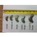 Eagle Shoe and Boot Metal Heel Plates and Nails Large 2 Inch 6 Pairs