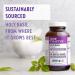 New Chapter Holy Basil Force with Supercritical Holy Basil for Immune Support + Mood Support + Non-GMO Ingredients - 30 ct Vegetarian Capsules 1 count (Pack of 30) - Buy Online on GoSupps.com
