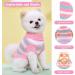Lynine Knitted Dog Sweater - Comfortable & Soft Winter Apparel for Small Dogs & Cats - Striped Design Warm Pink Sweater (Size M) - Buy Online on GoSupps.com