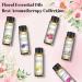 EUQEE Floral Essential Oils Set - 100% Pure Therapeutic Grade Aromatherapy Oils for Diffuser - Lavender, Rose, Ylang Ylang, Jasmine, Geranium, Chamomile - 60ml Total - Buy Online on GoSupps.com