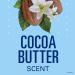 Secret Scent Expressions Antiperspirant Deodorant Clear Gel 2.6 Oz, Cocoa Butter Kiss Scent - Pack of 3 - Buy Online on GoSupps.com