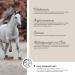 Annimally Joint Powder for Horses 850g - Collagen MSM Glucosamine & More | Strengthen Horse Joints - Alternative to Liquid - Buy Online on GoSupps.com