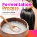 Uhuru Naturals Fermented Rice Water Spray - All Natural Conditioning & Moisturizing Treatment for Color Treated & Damaged Hair - Sulfate Free Repair & Regrowth for Men & Women 2 Fl Oz (Pack of 1) - Buy Online on GoSupps.com
