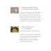 Natto Starter Spores Powder 3g - 100% Organic Soybean Extract for 30kg Homemade Natto | Kawashimaya Japan - Buy Online on GoSupps.com