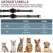 JiaraRui Reflective AirTag Cat Neck Band - Adjustable GPS Collar for Cats & Puppies - Black 7-9 inch - Buy Online on GoSupps.com