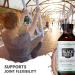 Mother Nature Organics Black Seed Oil - Organic Cold-Pressed Cumin Nigella Sativa for Immunity, Digestion, Joint Health, Hair & Skin - 8 oz. Extra Virgin, Gluten-Free, Non-GMO & Vegan with Omega 3, 6, 9 - Buy Online on GoSupps.com