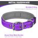 Joytale Softly Padded Neoprene Dog Collar for Large Dogs - Reflective Nylon Purple - 1 Pack - Buy Online on GoSupps.com