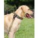 Joytale Tactical Dog Collar - Large Camouflage Dog Collar with Handle & QR Code Tag for Ultimate Safety | Shop Internationally - Buy Online on GoSupps.com