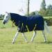 Gallop Trojan 600d Combo Neck 200g Turnout Rug 6'0" (EU 135cm) - Buy Online on GoSupps.com