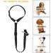 CGBOOM Universal Dog Safety Belt for Car - Adjustable Harness for Small Medium & Large Dogs - 2 Pack (Black) | Pet Safety & Comfort - Buy Online on GoSupps.com